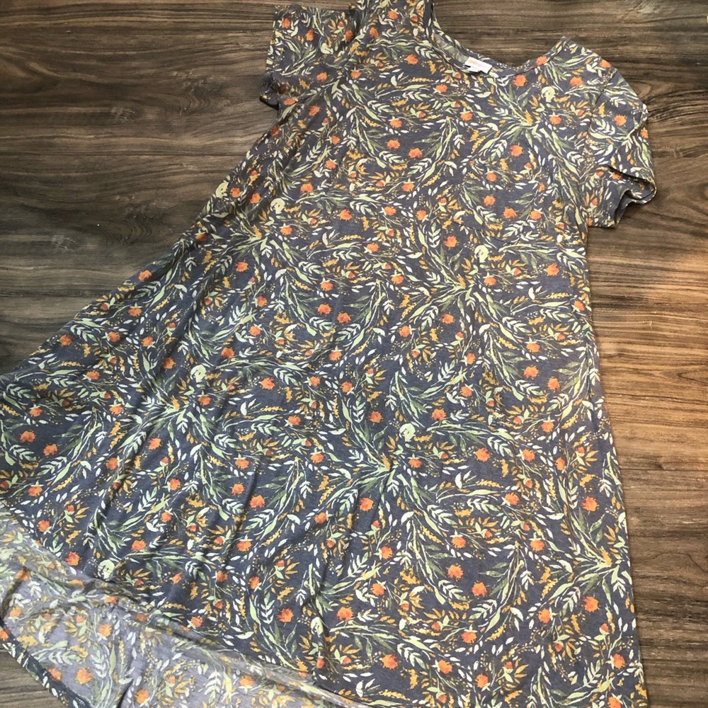 LulaRoe Carly Size XL